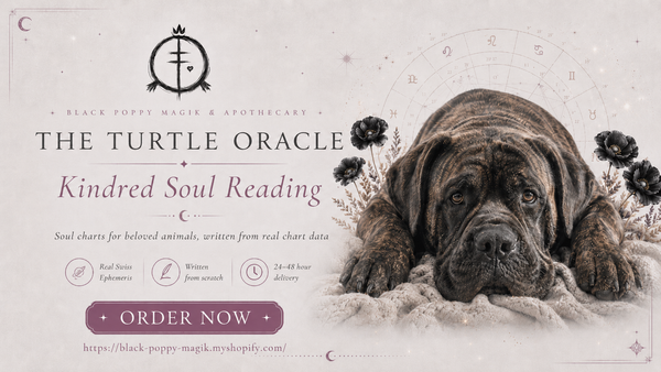 'The Turtle Oracle'