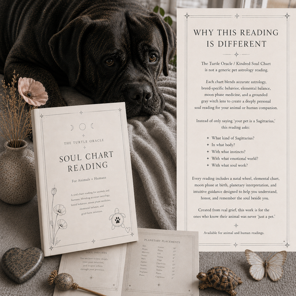 Why the Kindred Bond reading is different from a typical astrology reading