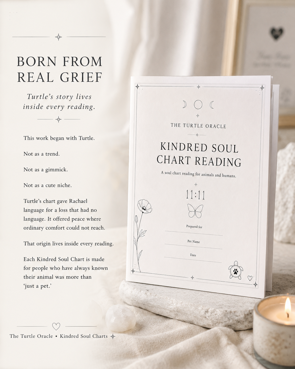 Pet memorial soul chart reading born from grief, Turtle Oracle