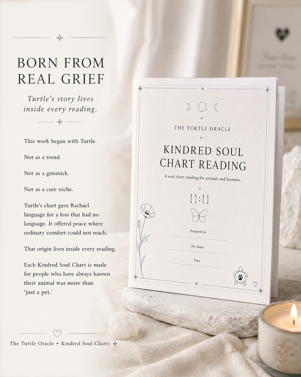 Pet memorial soul chart reading born from grief, Turtle Oracle