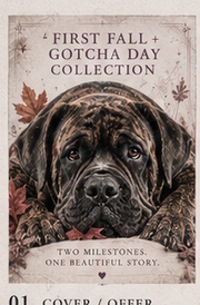 First Fall and Gotcha Day Collection cover featuring Turtle