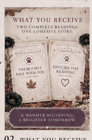 What you receive in the First Fall and Gotcha Day Collection