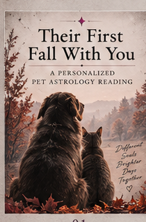 Their First Fall With You personalized pet astrology reading cover