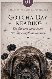 Gotcha Day Reading personalized pet astrology cover