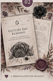 What you receive with a Turtle Oracle Gotcha Day Reading