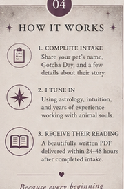 How the Turtle Oracle Gotcha Day Reading works