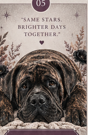 Gotcha Day Reading delivery and call to action