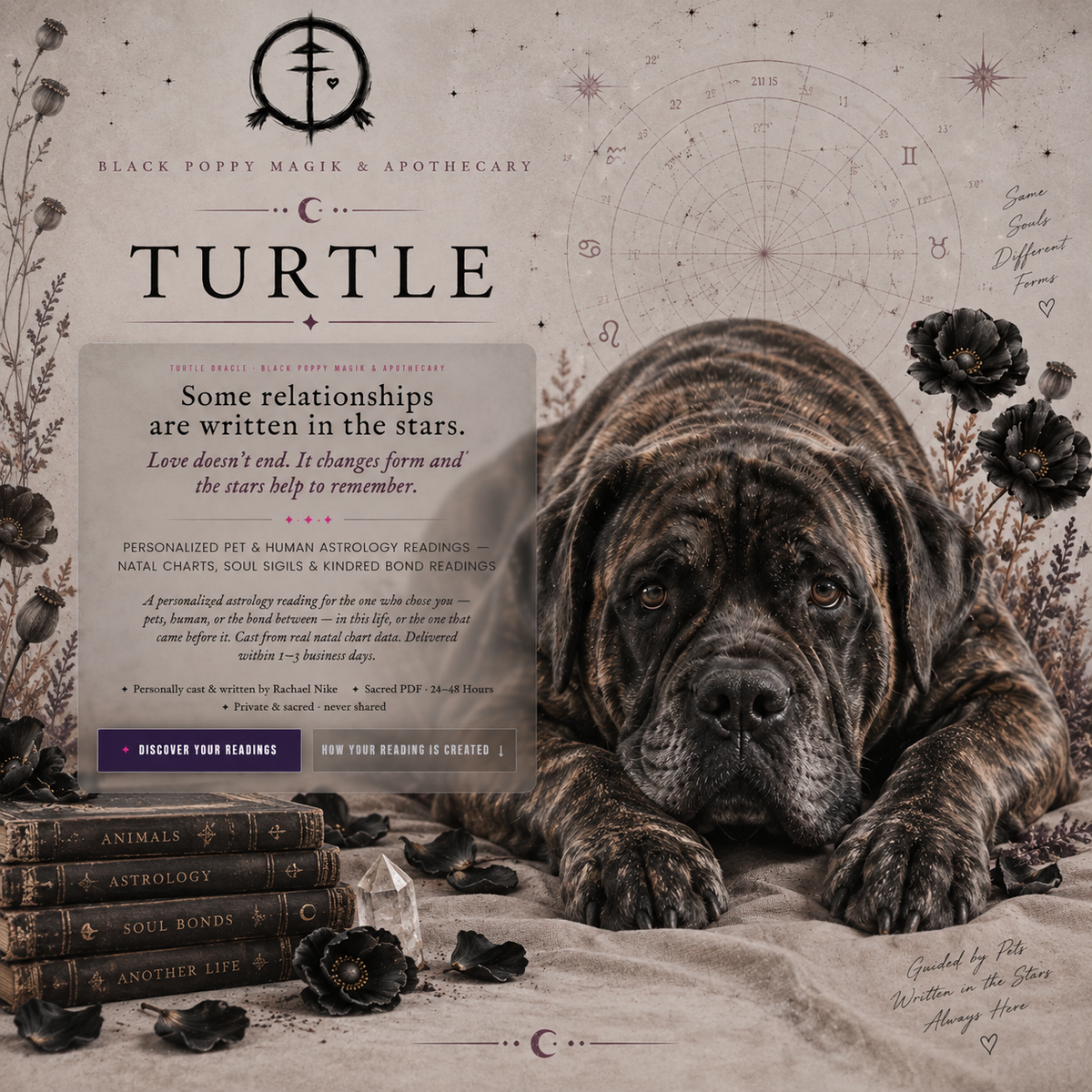 Turtle Oracle relationship astrology artwork for the Kindred Bond two-person reading