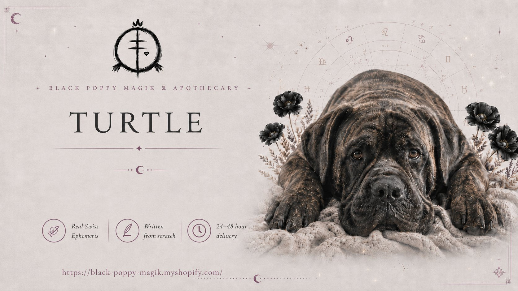 The Turtle Oracle — Pet & Human Soul Readings by Rachael Nike · Black Poppy Magik