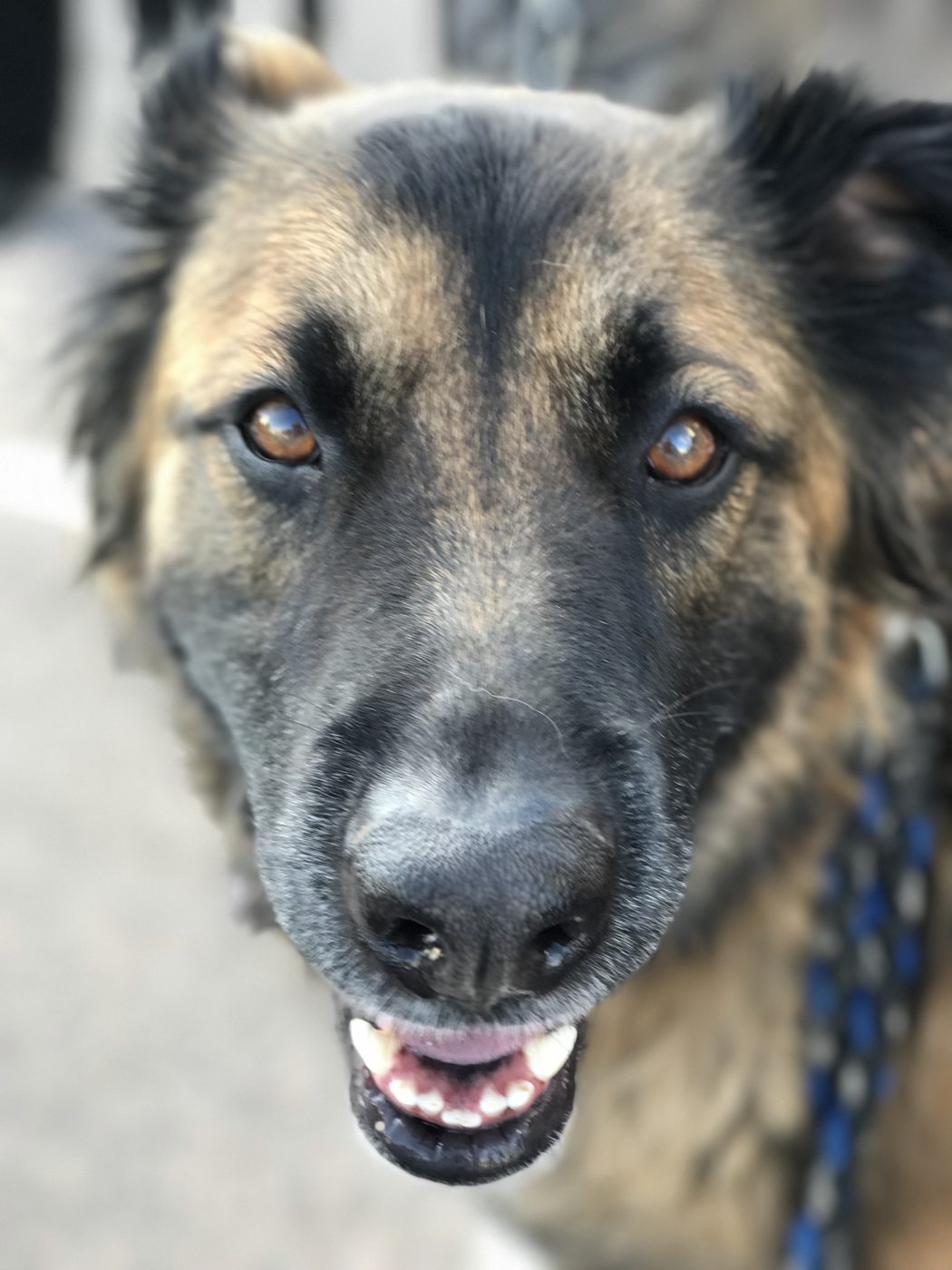 Trent looking into the camera