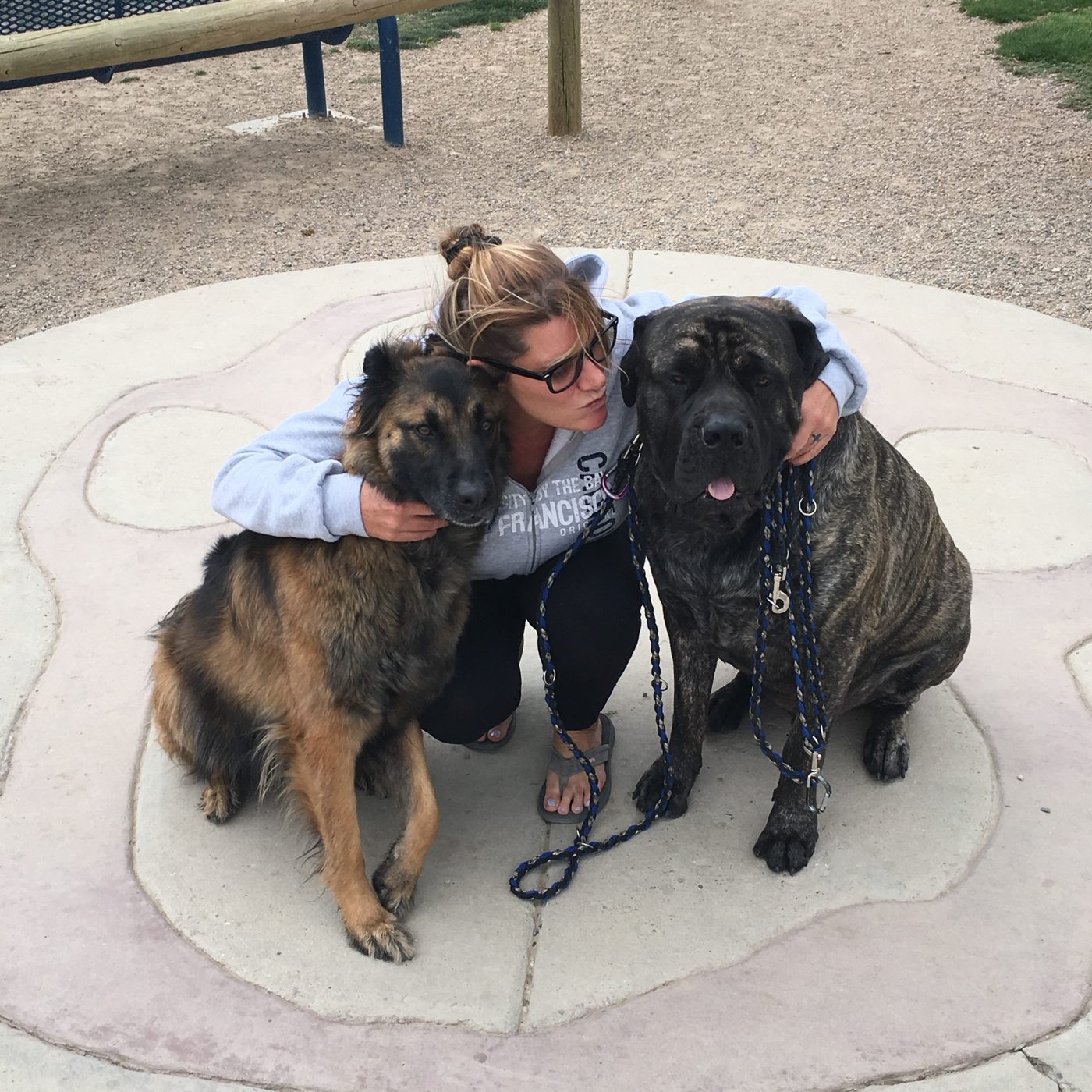 Rachael Nike hugging Turtle, a black brindle English Mastiff, and Trent, a shepherd, in a park